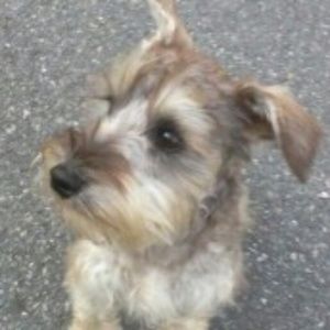 Meet your Posher, Barbara